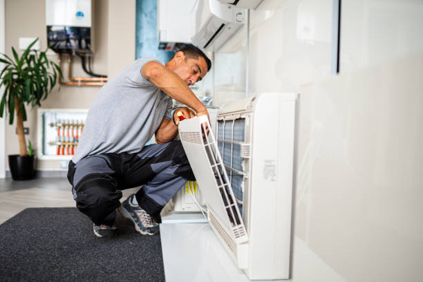 Air Duct Mold Removal in Lutcher, LA