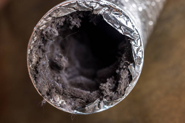 Best Home Air Vent Cleaning  in Lutcher, LA