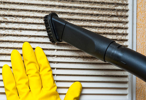 Best Affordable Duct Cleaning Services  in Lutcher, LA